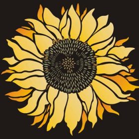 Profile picture of Sunflower Designs