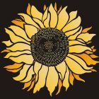 Profile photo of Sunflower Designs